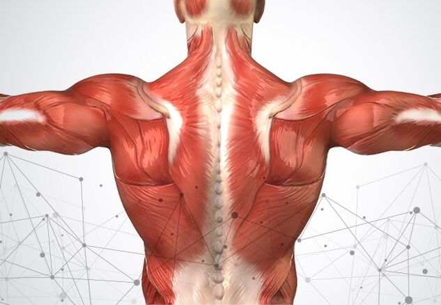 douleur musculaire le long de la colonne vertébrale